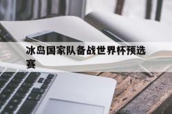 金年会sports-冰岛国家队备战世界杯预选赛